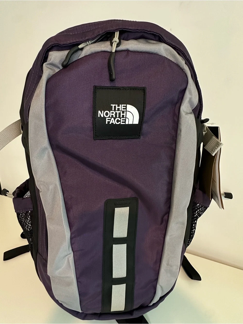 The North Face Purple and Gray Men's Backpack